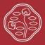 Shiseido favicon