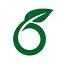 Overleaf favicon